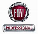 fiat professional en Corrèze (19)